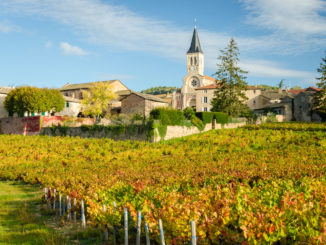 photo d'un village avec des vignes en premier plan
