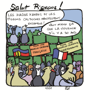 Pigeons 13