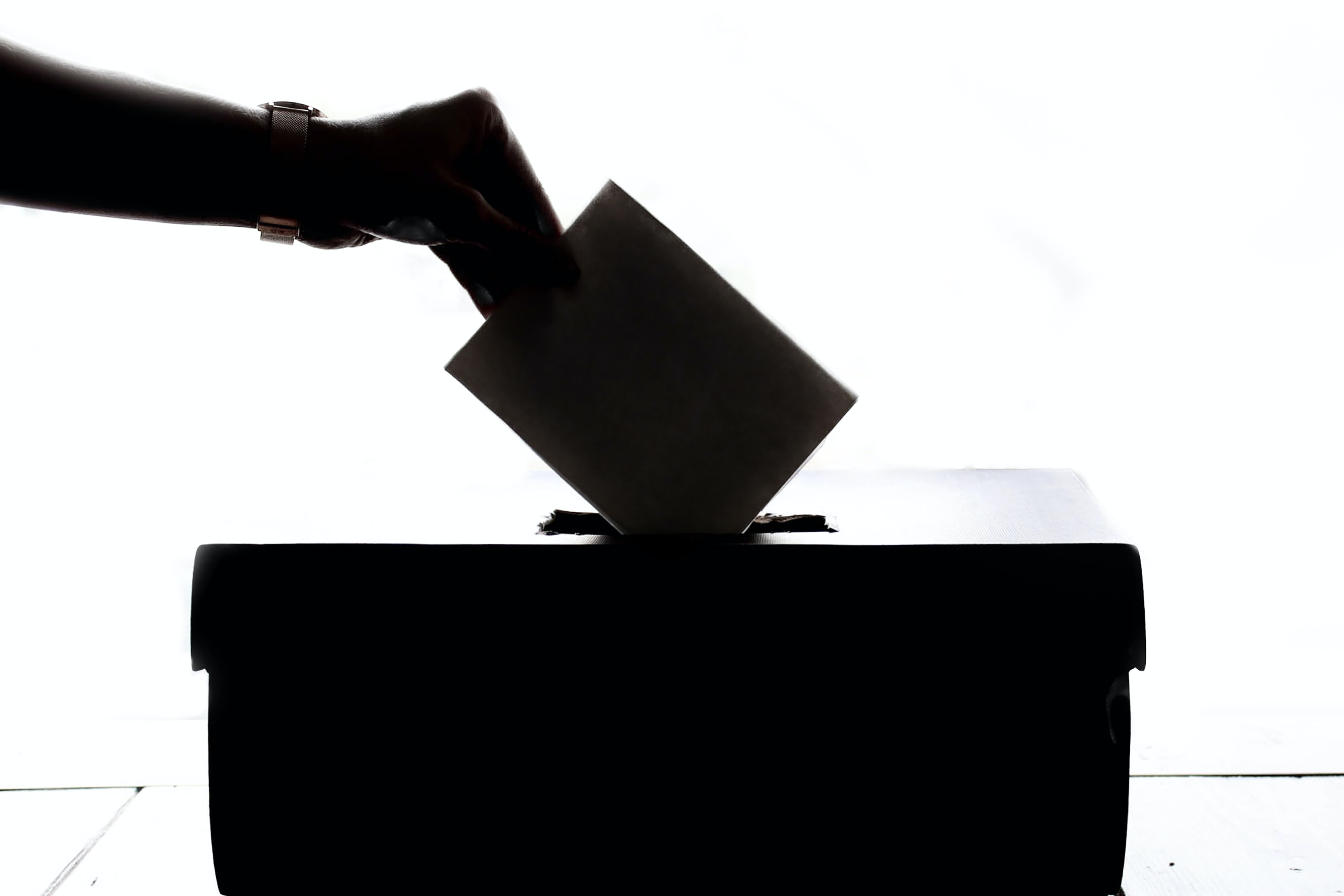 élections régionales 2021 bulletin glissé dans l'urne