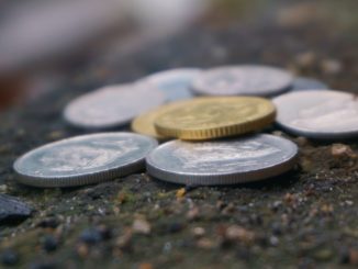 pièces de monnaies sur de la terre